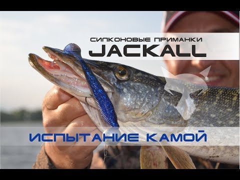 Видео: Силиконовые приманки Jackall. Испытание Камой