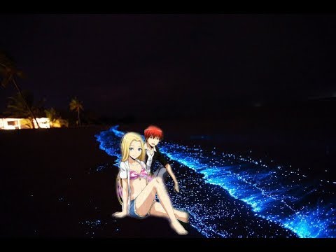 Видео: Карма и Рио- Правильная девочка