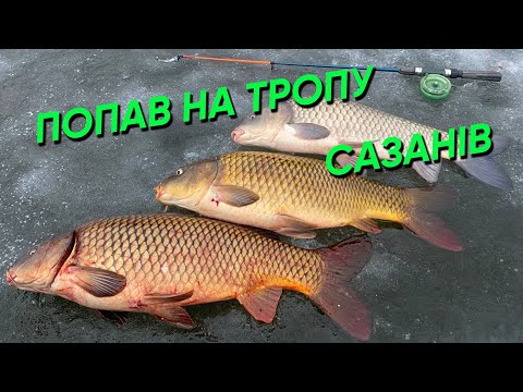 Видео: САЗАНИ на БОКОВИЙ КИВОК! РИБАЛКА-МРІЯ! ОСТАНІЙ ЛІД✅ПЛЮС 12 а САЗАНИ РОЗРИВАЮТЬ!