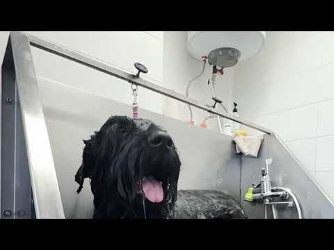 Видео: 31 октября 2025 г.