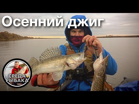 Видео: Рыбалка в Рязанской области | Выбор места, приманки | Рыбалка с лодки | Ловля судака на джиг осенью