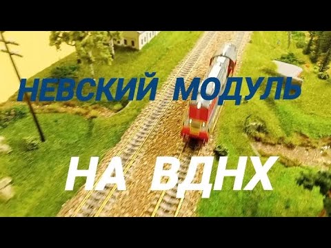 Видео: Выставка "Железнодорожная модель 2025" на ВДНХ. Невский модуль.