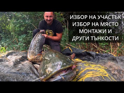 Видео: Речен риболов на сом от сам човек.