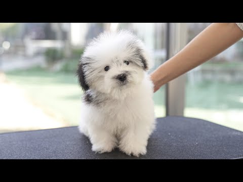 Видео: Черные чернила размазались по лицу.