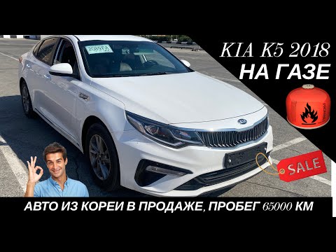 Видео: Kia K5 2018 НА ГАЗЕ С ЗАВОДА! Расход мизерный. Авто в продаже. #автоконсалт.рф