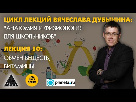 Видео: Вячеслав Дубынин: "Обмен веществ, витамины" (Лекция 10)