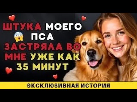 Видео: Мой пёс делает это для меня каждый раз, когда мой муж уезжает в командировку.