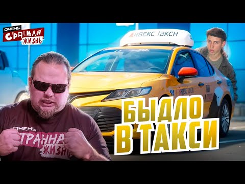 Видео: ТОП Неадекватов в ТАКСИ за сентябрь 2024: Быдло, яжемать, истерички и стервы. Новые звезды Youtube!