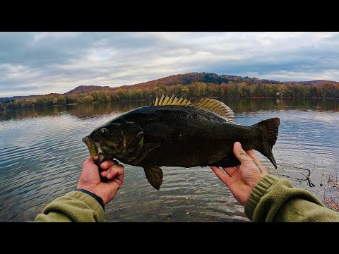 Видео: В этом валуне оказался большой малоротый окунь!!! (Рыбалка с берега)