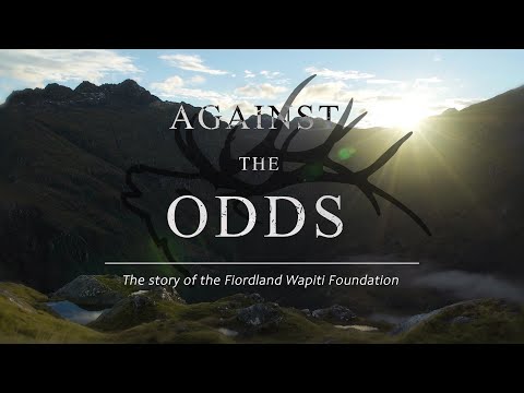 Видео: Вопреки всему | История Фонда Fiordland Wapiti