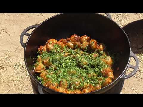 Видео: Таких пельменей вы ещё не ели/Пельмени в казане на костре