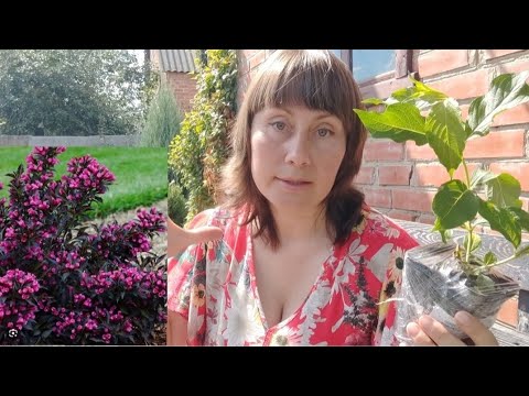 Видео: ПОСИЛКА ВіД ІРИНКИ🌹 м.Вінниця!