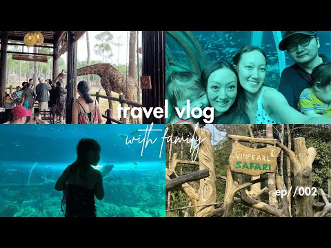 Видео: vietnam travel with my family🇻🇳 | вьетнам-руу аялсан нь. vlog part 2