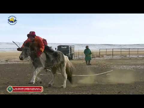 Видео: Төв аймгийн ТӨВИЙН БҮСИЙН АДУУЧИН ТЭМЦЭЭН 2022ОН ADUUCHIN HORSEMAN