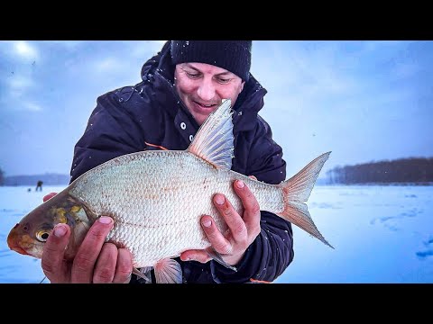 Видео: КРУПНЫЙ ЛЕЩ, РЕКОРД РЫБАЛКИ! ПЕРВЫЙ ЛЁД НА р.ОБЬ! РЫБАЛКА НА КОМБАЙНЫ.