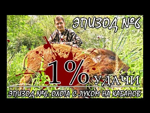 Видео: 1% УДАЧИ. Эпизод 006. Охота с луком на диких свиней в Техасе Часть 1.