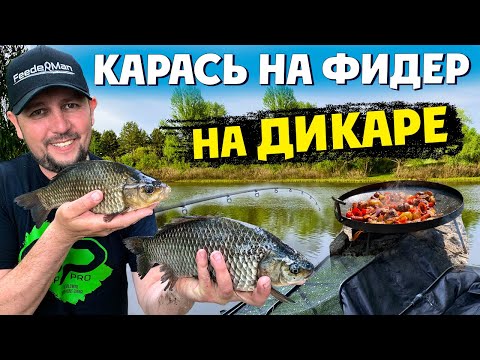 Видео: Хитрости ловли карася на ФИДЕР. Картошка по охотничьи на костре.