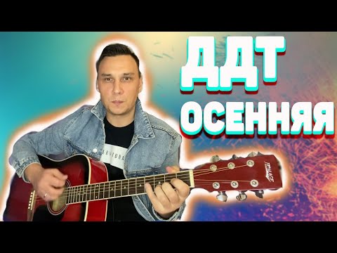 Видео: ДДТ Осенняя на гитаре ( кавер ) Небеса на коне