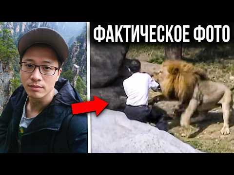 Видео: 15 самых ШОКИРУЮЩИХ смертей от рук животных