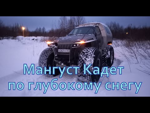 Видео: Мангуст Кадет по глубокому  снегу.