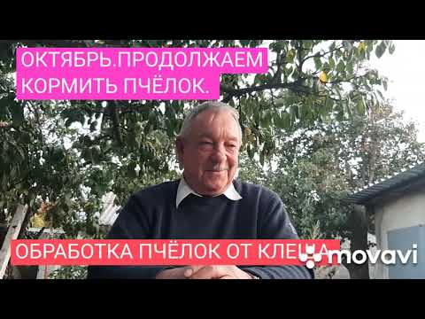 Видео: Октябрь, продолжаем кормить пчёл, обработка от клеща. 