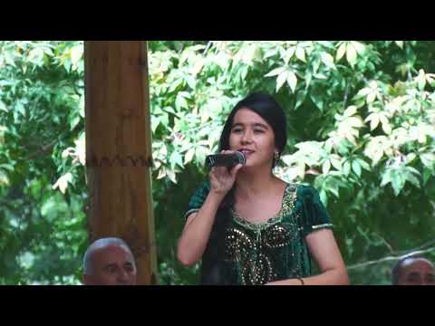 Видео: 31 октября 2025 г.