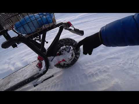 Видео: Зимнее путешествие в Лес на электросамокате White Siberia mini, весь фильм.