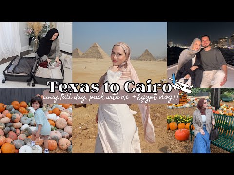 Видео: ПОСЛЕДНЯЯ ЖИЗНЬ | Тыквенная грядка, собираемся в Египет + Египетский видеоблог!!!!