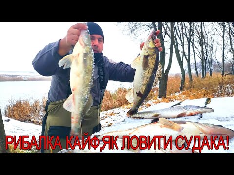 Видео: ✅🔥 УБОЙНЫЙ МОНТАЖ +ПРИМАНКИ/СМЕРТЬ СУДАКУ З ЦИМ МОНТАЖЕМ / ВСІ ПОКЛЕВКИ В КАДРІ #Рыбалка