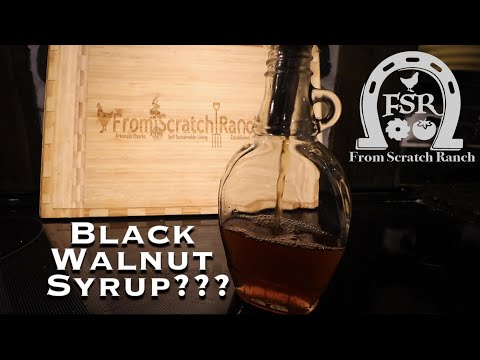 Видео: Можно ли приготовить сироп из чёрного ореха? Что?