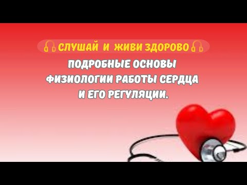 Видео: Подробные основы физиологии работы сердца и его регуляции.