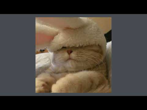 Видео: miyagi, эндшпиль - in love (speed up)