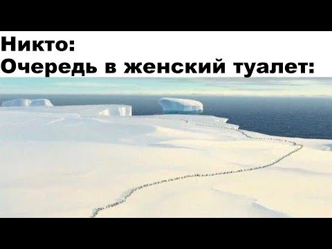 Видео: Свежие мемчики. Дневная подборка мемов 8