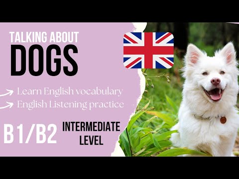 Видео: Собаки 🐶🇬🇧 Практика аудирования английского языка среднего уровня B1/B2