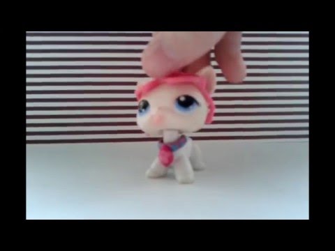 Видео: LPS: Обзор мои петы из пластилина