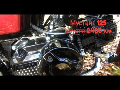 Видео: Мустанг 125. Отзыв владельца спустя 2400 км, рассказ про максималку
