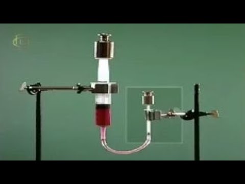 Видео: Опыты по физике. Модель гидравлического пресса