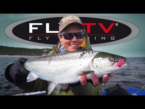 Видео: ЛОВЛЯ МОРСКОЙ КУСОРНОЙ ФОРЕЛИ НАХЛЫСТОМ: Ловля с поплавковой лодки/понтона на Готланде | FLY TV -...