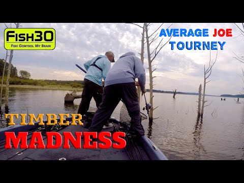 Видео: Безумие на деревьях в турнире «Average Joe Team Tournament» на озере Трумэн. Видеоблог