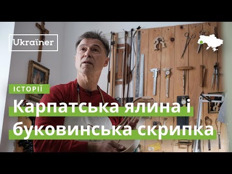 Видео: Карпатская ель и буковинская скрипка