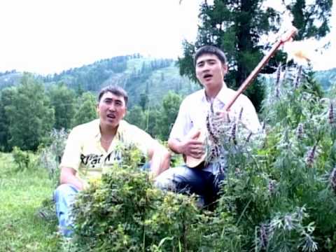 Видео: САМҒАУ тобы Туған жер КАТОН