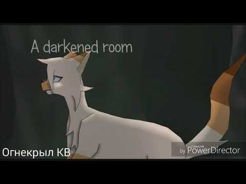 Видео: {Коты-Воители}||▪□Звездоцап и Саша□▪||[Даже не проси]