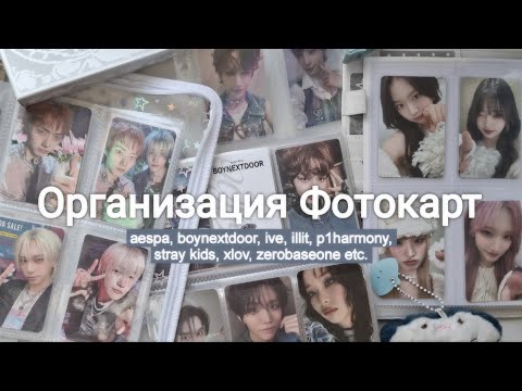 Видео: Организация Фотокарт 🐨 p1harmony, boynextdoor, zerobaseone, xlov, ive, stray kids