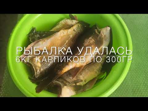Видео: Израиль озера на Голанах