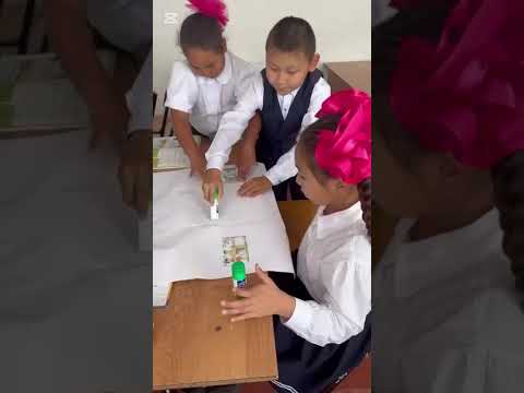 Видео: "Онлайн шеберхана" жобасы.№8 Өтеген батыр атындағы орта мектебі. Мұғалім: Мамыркулова Ж.К.