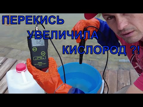 Видео: Сможет ли перекись  повысить кислород в пруду ?!