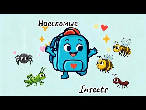 Видео: Чудо-рюкзачок и насекомые!🕷️🐜🪰🐝🐛