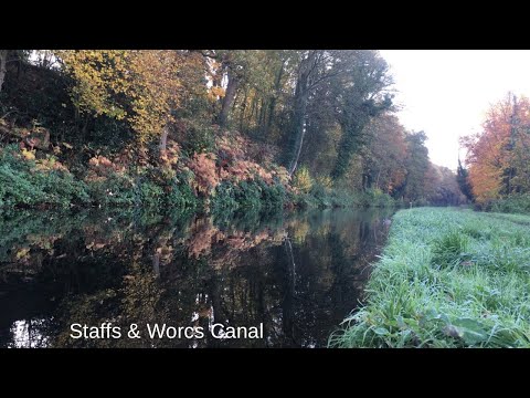 Видео: 🎣 Три вида рыб из канала Стаффс-энд-Воркс и беседа с владельцем Luxe Lakes Люком Ропером