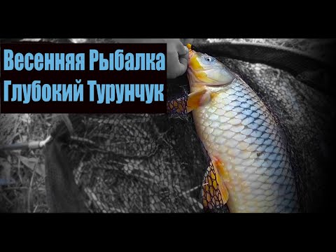 Видео: Весенняя рыбалка с ночевкой  и друзьями. Река Днестр ответвление Глубокий -Турунчук. Сезон 2024.