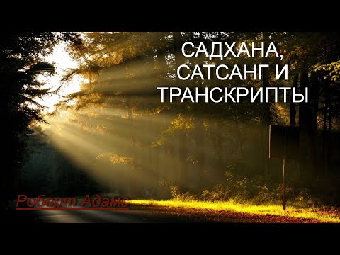 Видео: Садхана, сатсанг и транскрипты [Роберт Адамс, озв. Никошо]